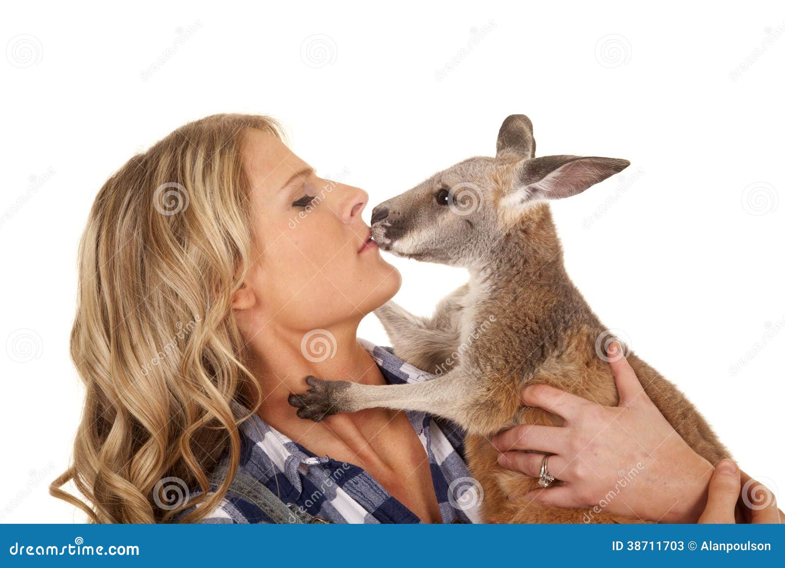 Albino kangaroo hugs a laughing American woman at a Perth wildlife park