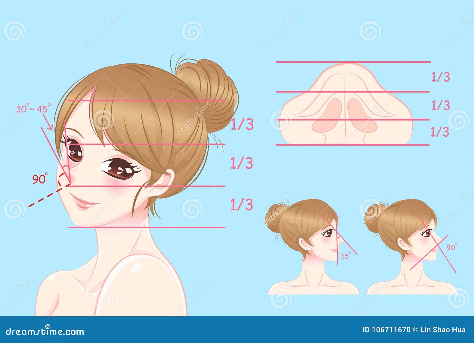 woman with perfect face proportions