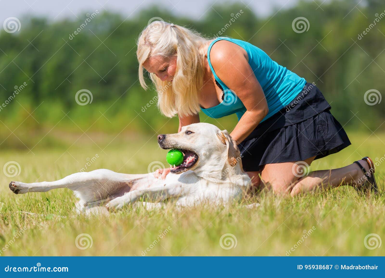 Woman Pets a Labrador at the Belly Stock Image Image of meadow, love 95938687