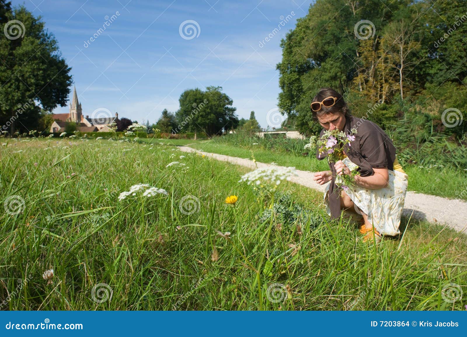 Woman picking wild flowers stock photo. Image of flower 7203864