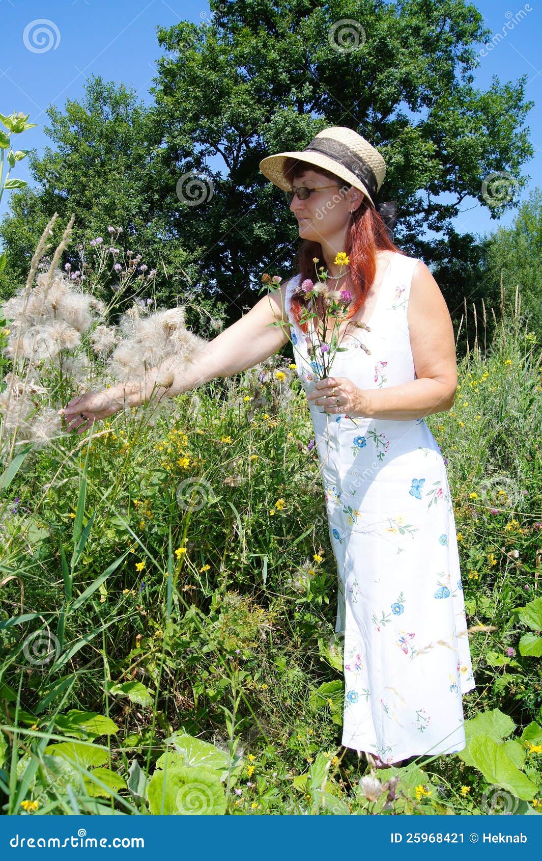 Woman picks flowers stock image. Image