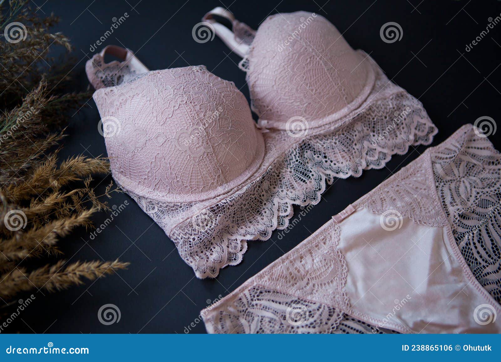 Woman Pink Lace Bra, Panties Lingerie Near Pampas Grass on Black