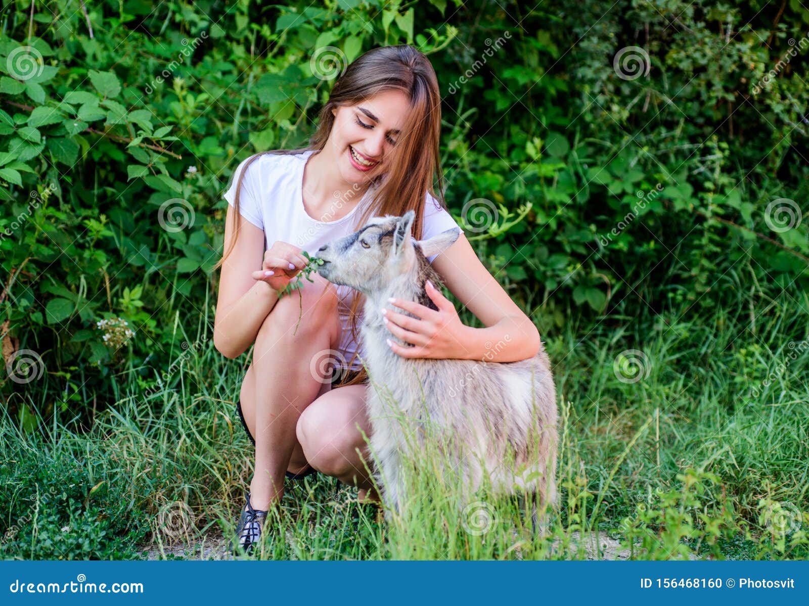 Woman Play Cute Goat. Veterinarian Occupation. Treating Animals at Farm