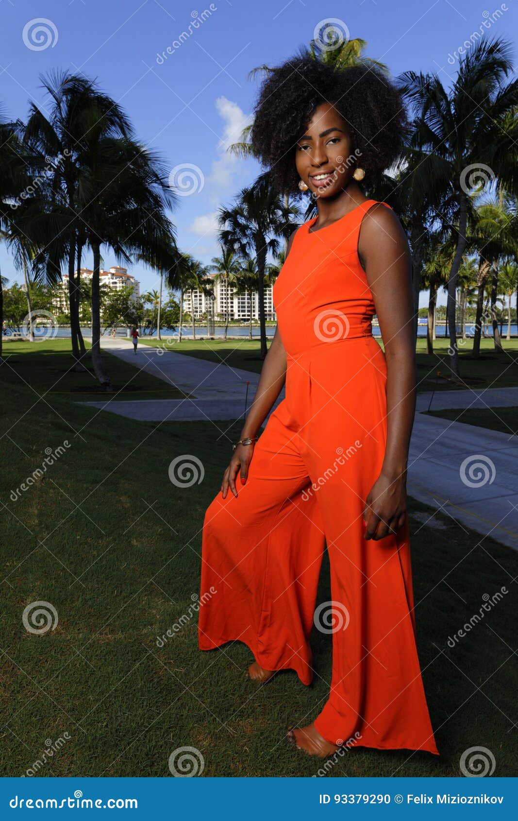 Anarkali Black and orange color gown