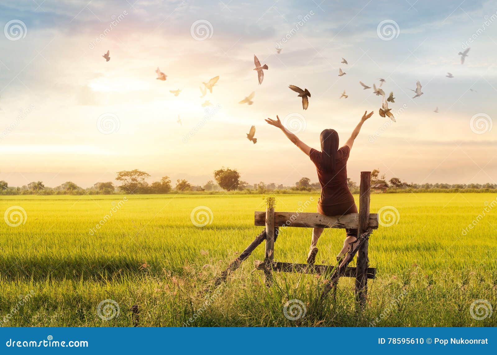 woman praying and free bird enjoying nature on sunset background