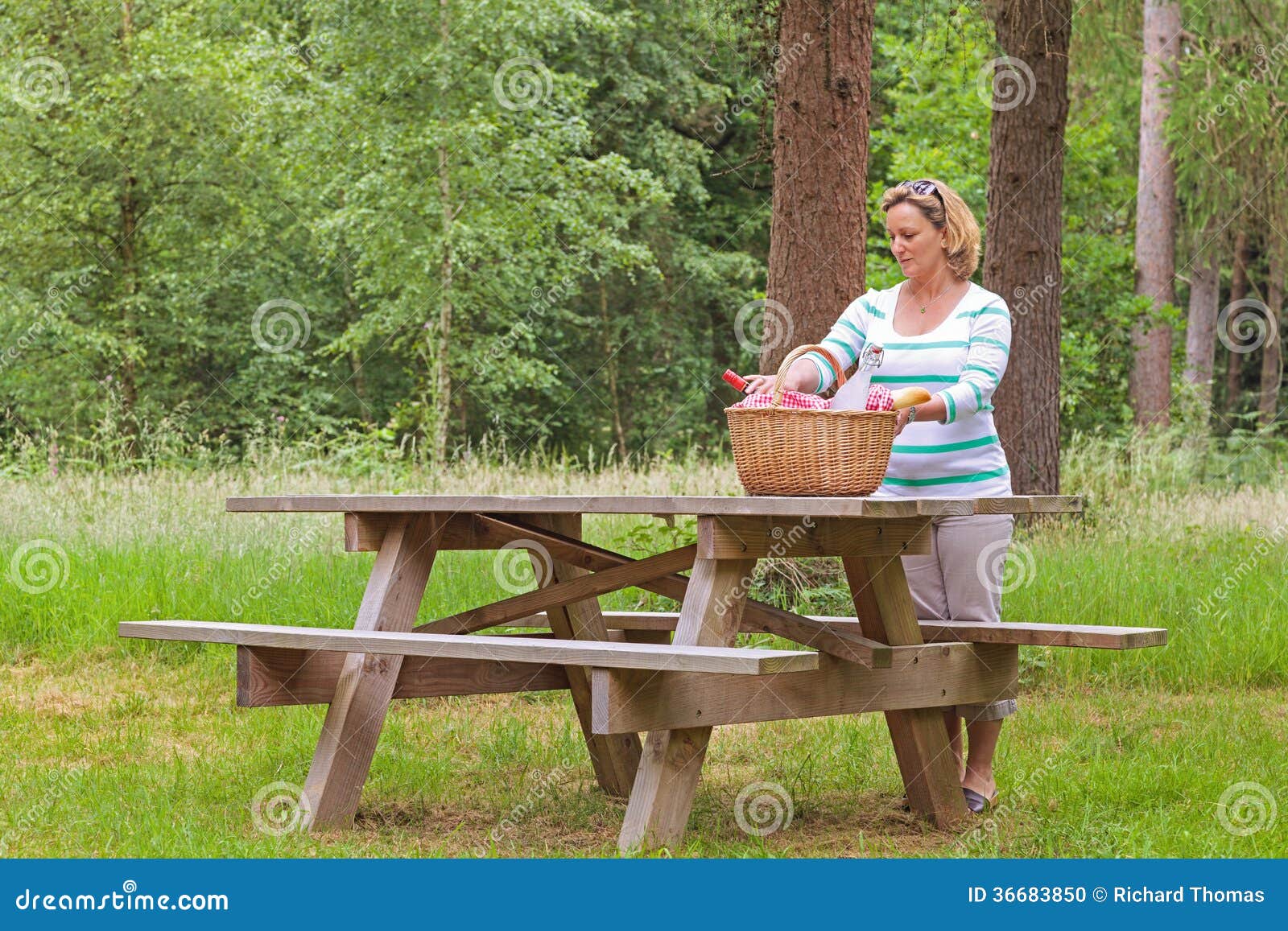 Woman Preparing A Picnic Stock Photo Image Of Sunny