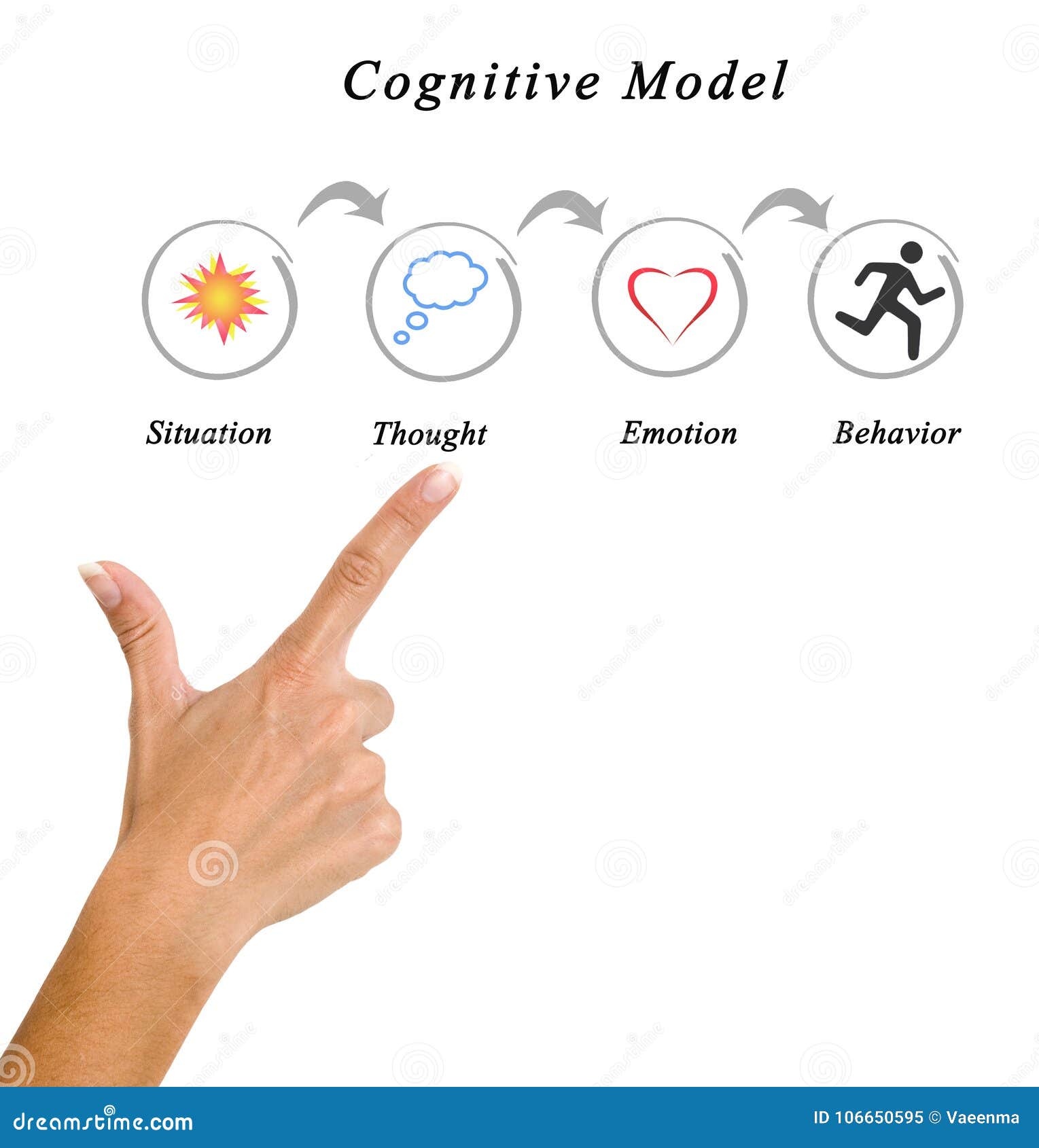 components of cognitive model