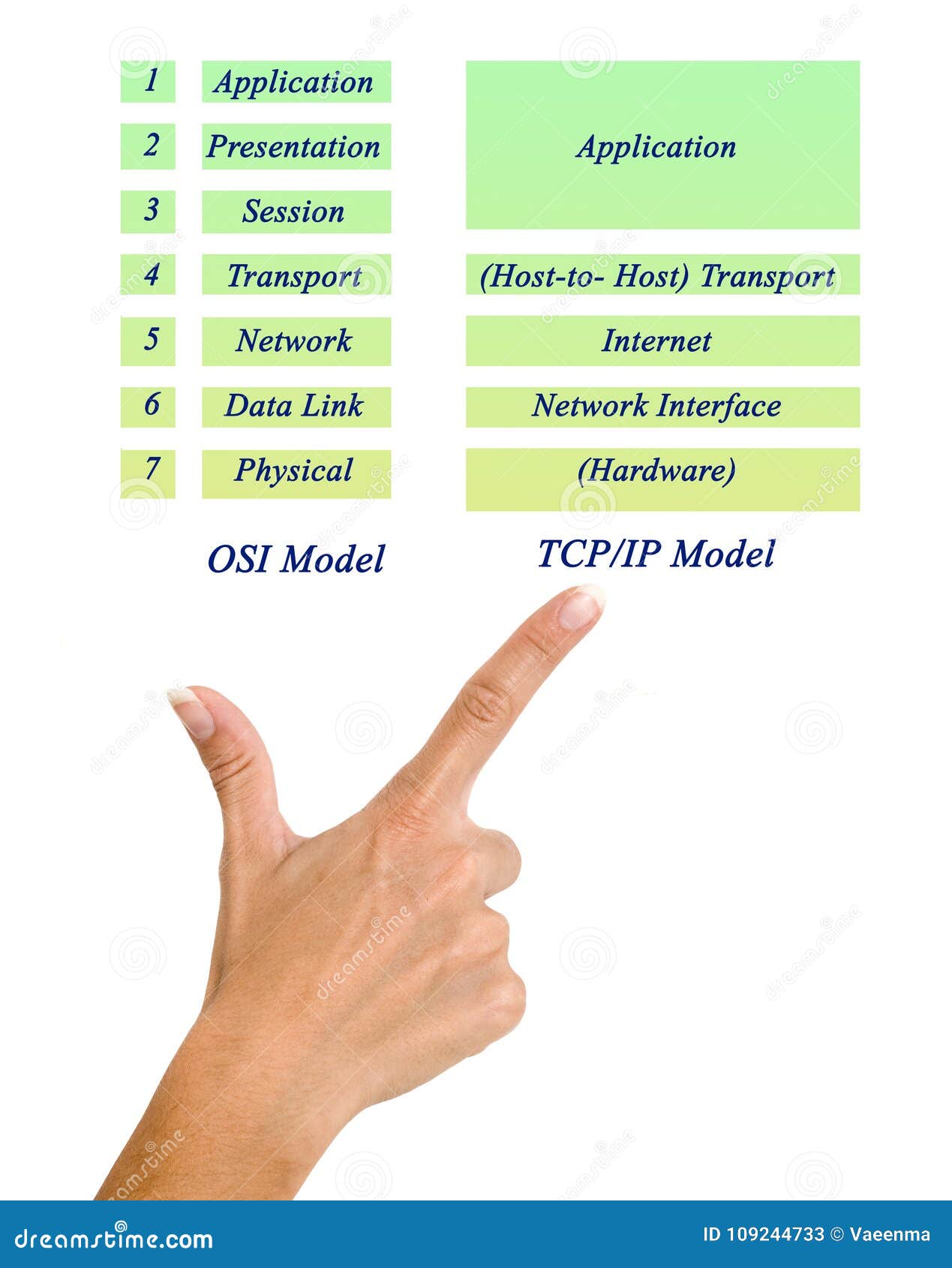 [DIAGRAM] Explain All The Layers Of The Osi Reference Model With A