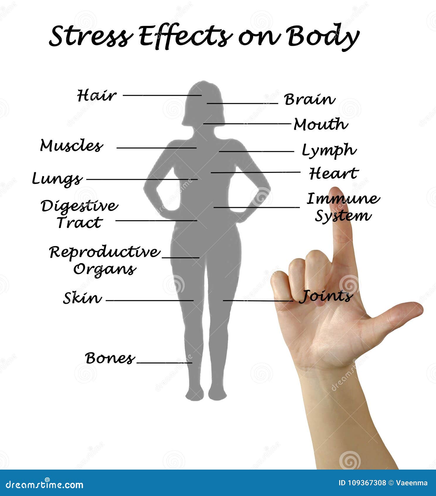 The Effects of Stress on Your Body