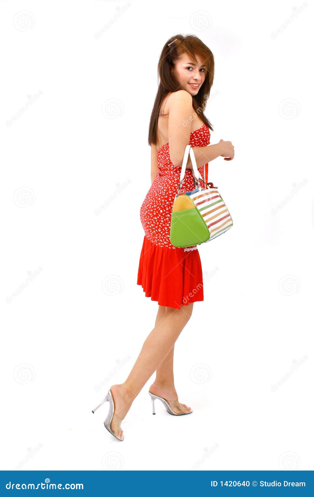 Woman with Purse stock photo. Image of captivating, female 1420640