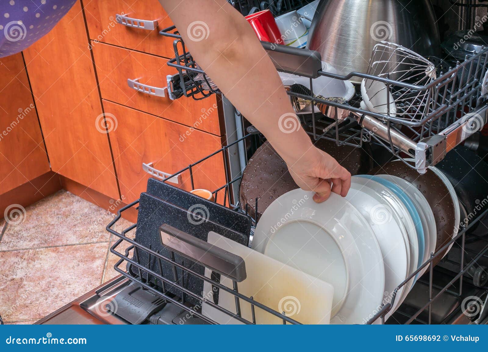 Woman Puts Dirty Dish into Dishwasher Machine Stock Photo Image of