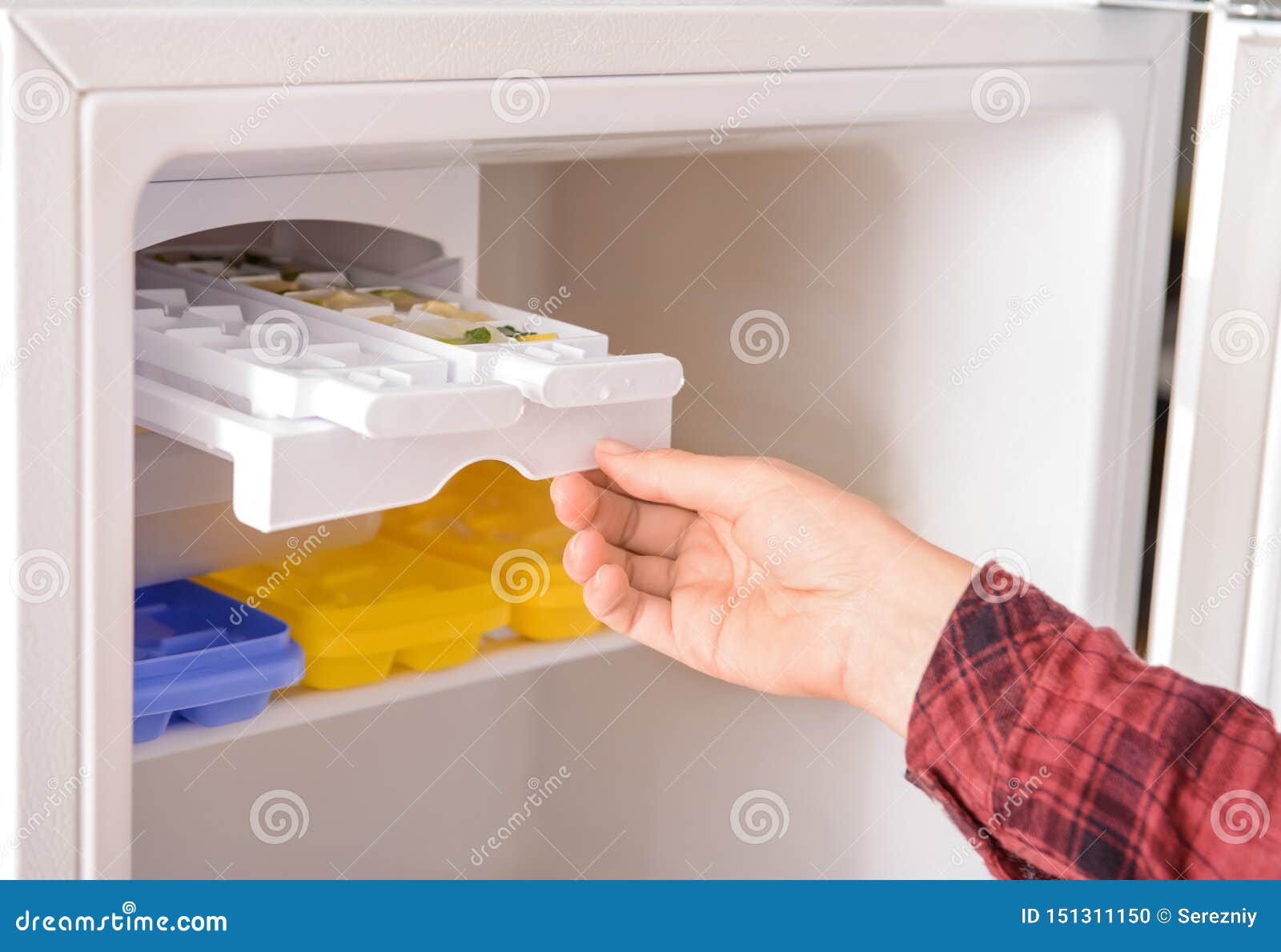 A Woman Opens an Ice Maker Tray in the Freezer To Take Ice Cubes
