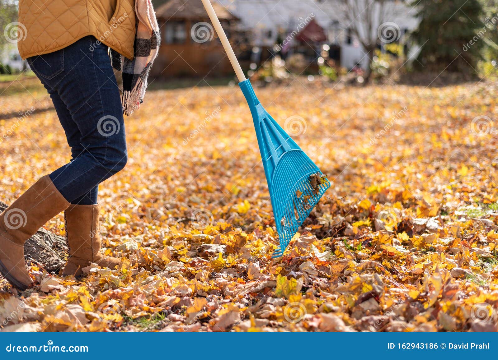 Woman Raking Leaves in Vest and Boots Stock Photo - Image of copy ...