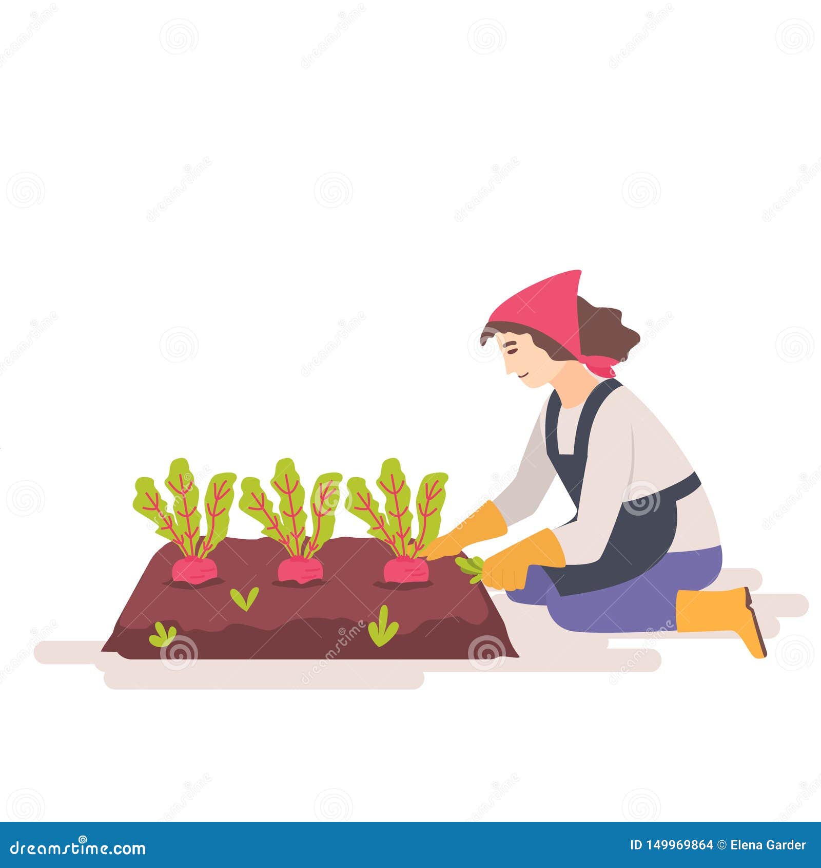 Woman Weeding Getting Rid Of Grass On Plantation Vector Illustration ...