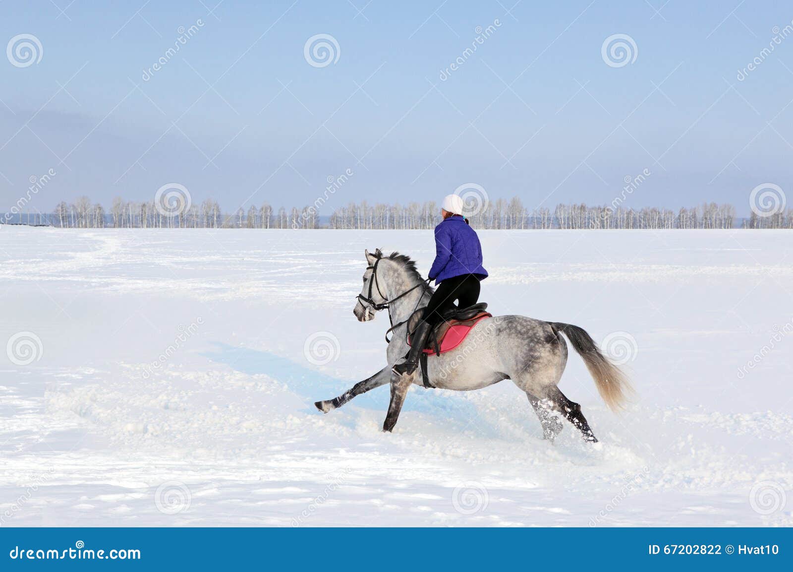 forgotten fields horse riding forgotten fields horse riding