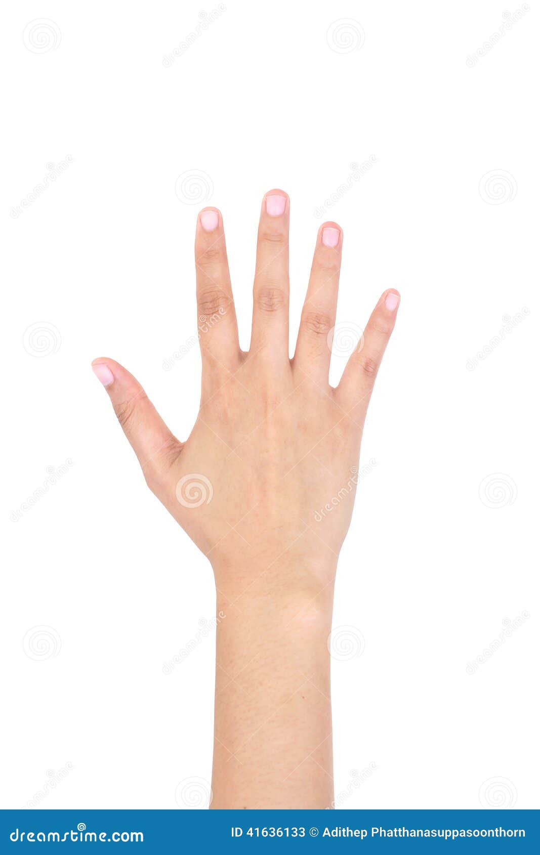 Woman Right Hand Showing the Five Fingers Isolated. Stock Image