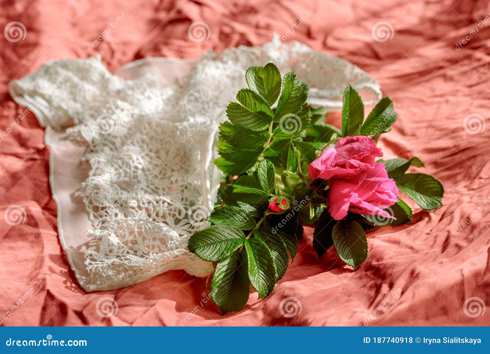 Woman`s Bra on Unmade Bed.Openwork White Cotton Underpants on