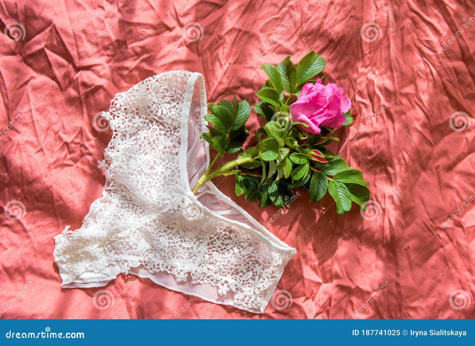 Wrinkled Bra Stock Photos - Free & Royalty-Free Stock Photos from Dreamstime