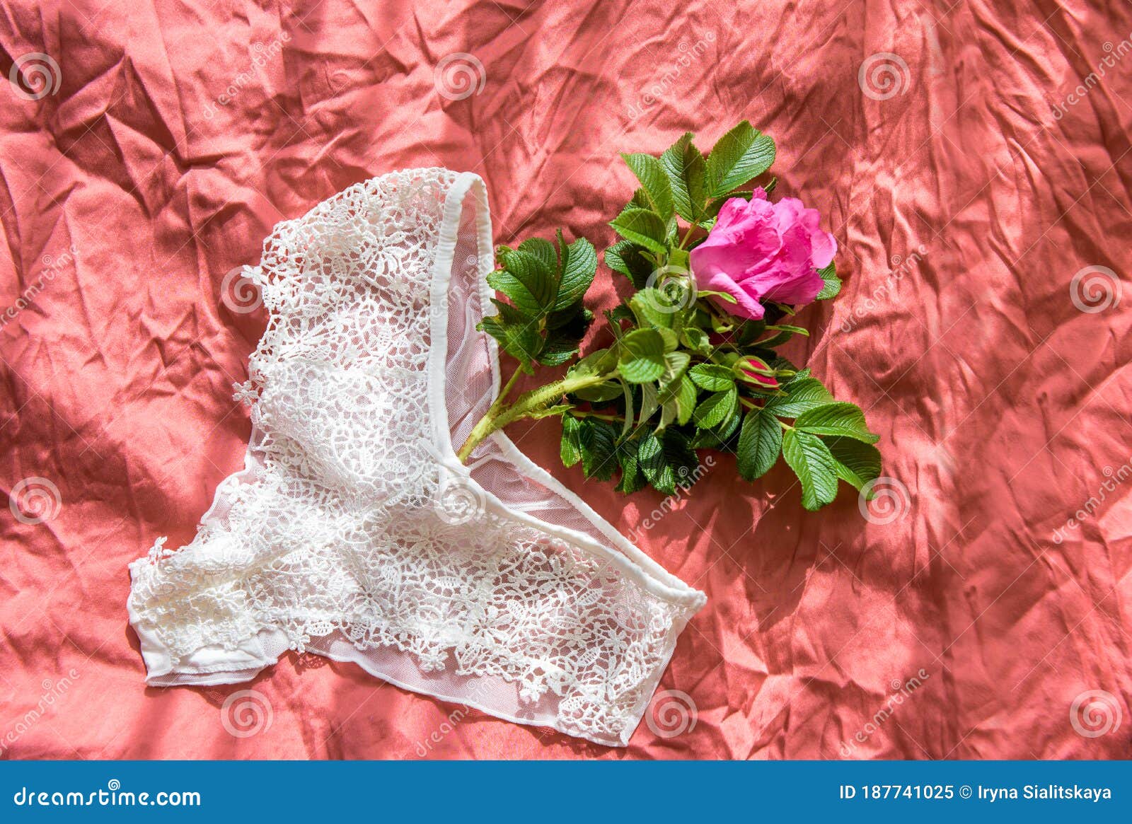 Wrinkled Bra Stock Photos - Free & Royalty-Free Stock Photos from