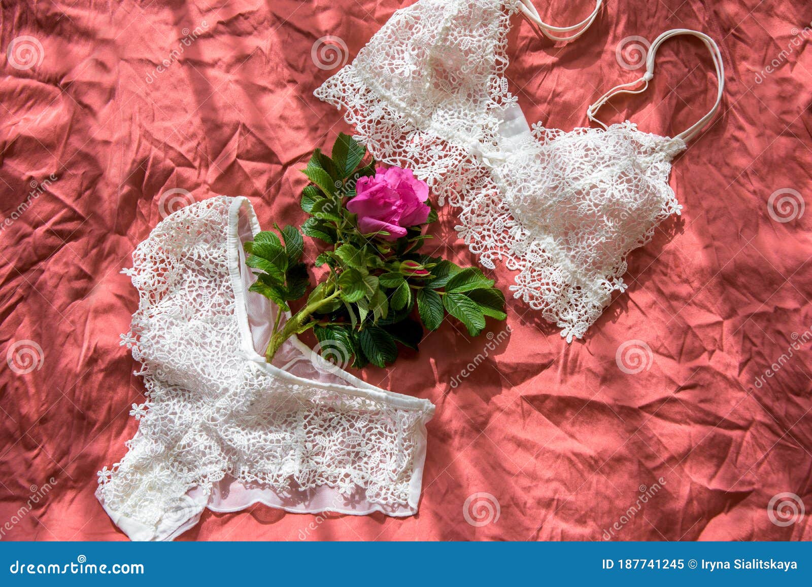 Wrinkled Bra Stock Photos - Free & Royalty-Free Stock Photos from