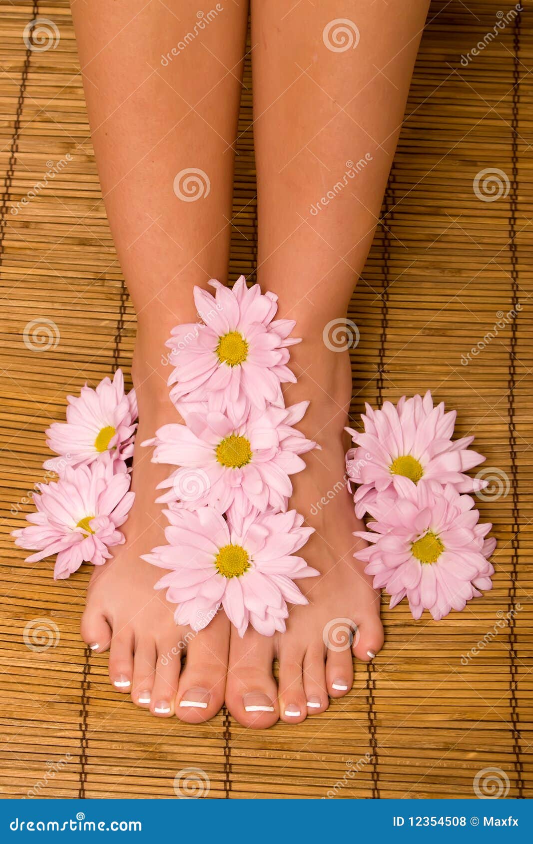 Woman s feet stock photo. Image of pink, bodycare, flower 12354508