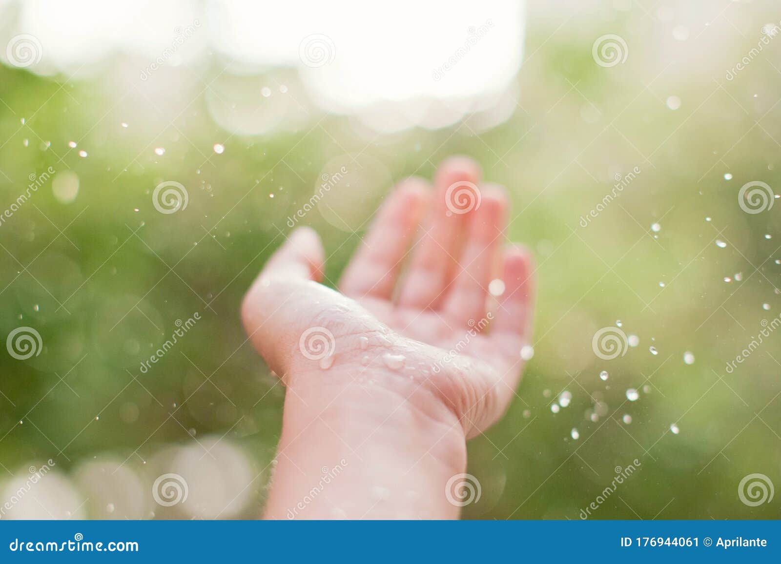 Woman`s Hand Catch the Rain Drops Stock Image Image of purity, catch