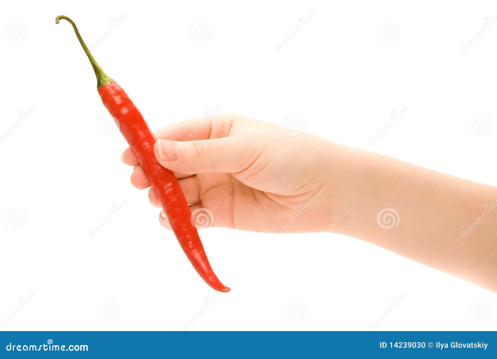 Woman s hand with chili stock photo. Image of desire 14239030