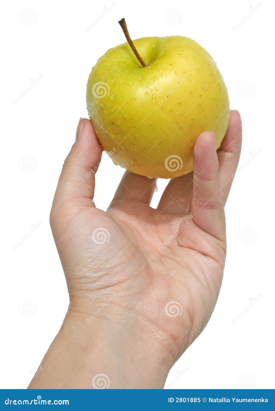 Woman S Hand Holding an Apple Stock Image Image of energy, females