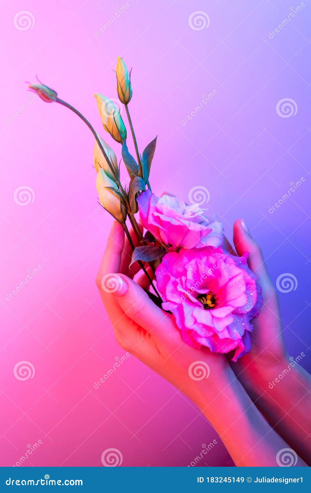 2,128 Beauty Salon Wallpaper Stock Photos - Free & Royalty-Free Stock Photos from Dreamstime 2,128 Beauty Salon Wallpaper Stock Photos - Free & Royalty-Free Stock Photos from Dreamstime
