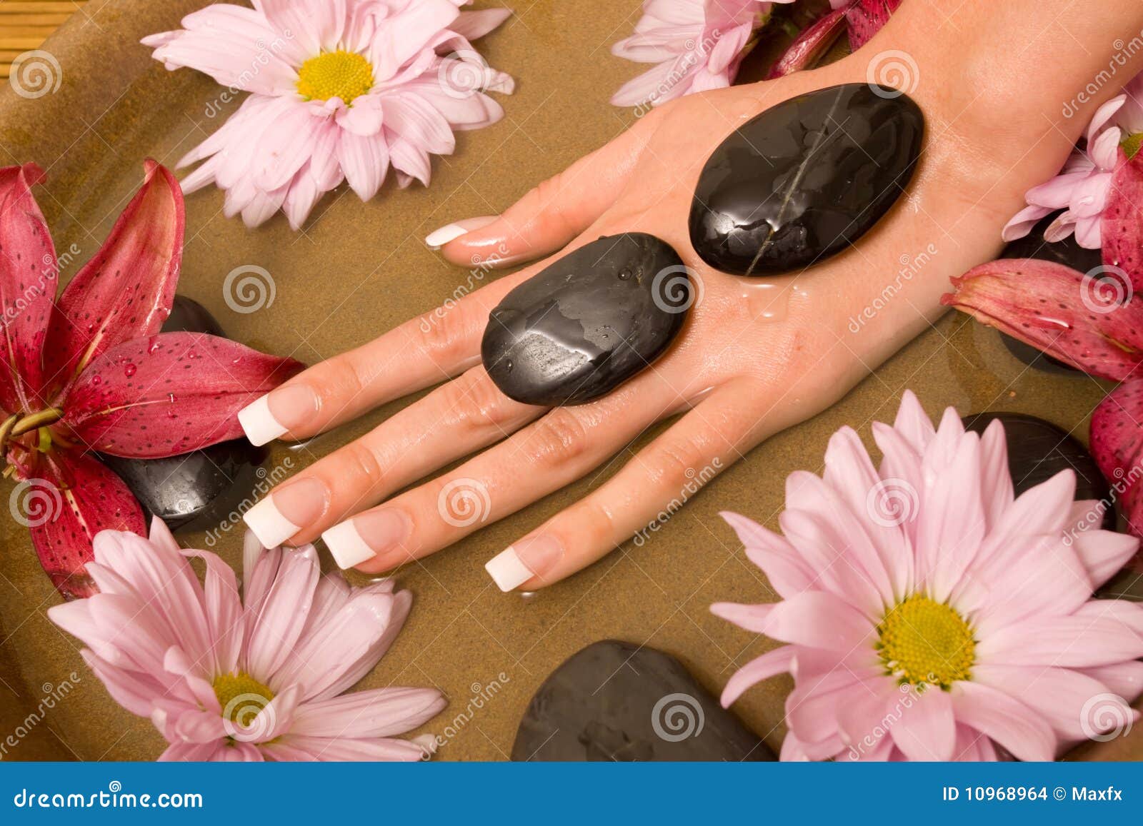 Woman s hands in water stock photo. Image of rock, flower 10968964