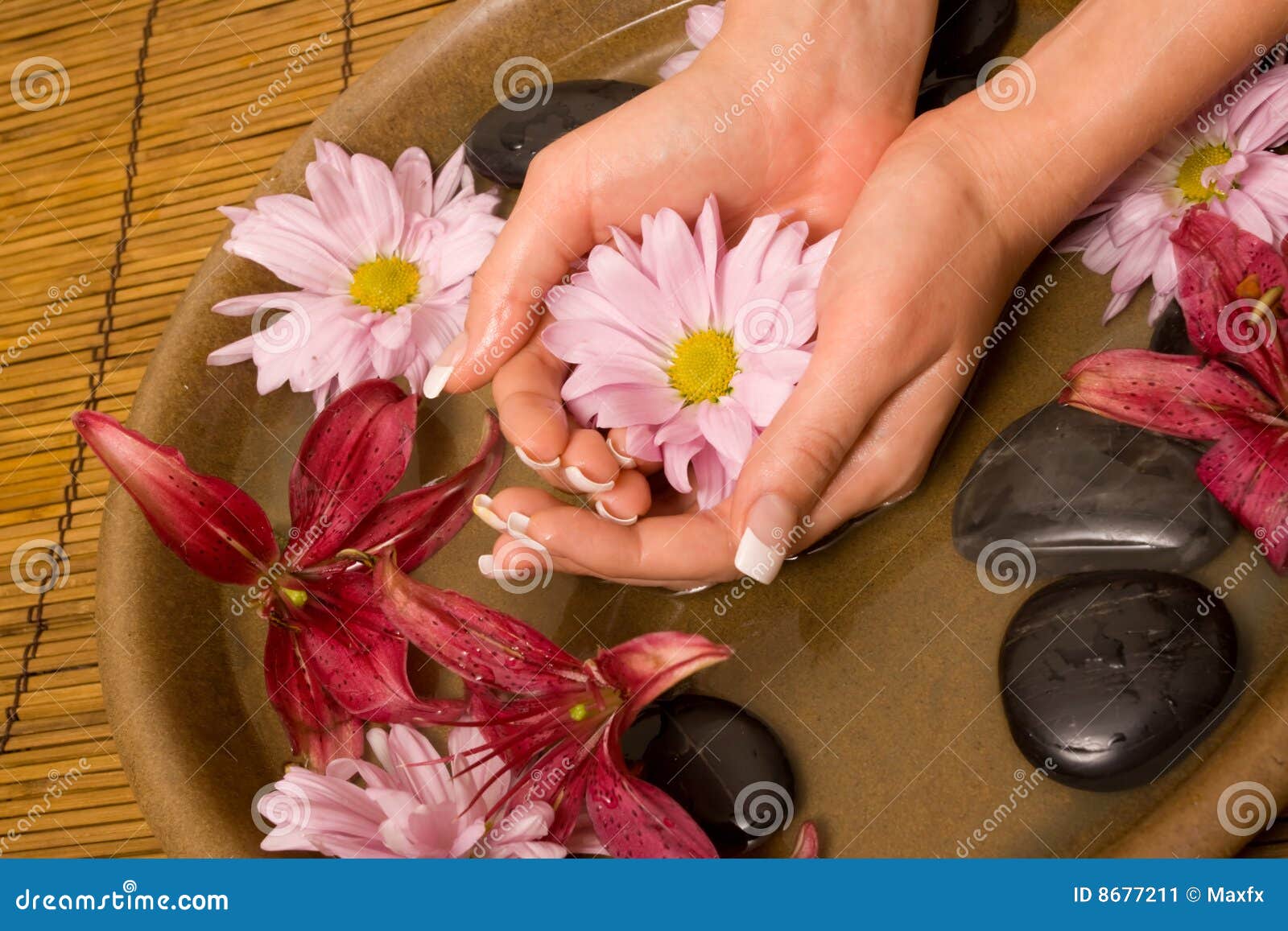 Woman s hands in water stock image. Image of finger, washing 8677211