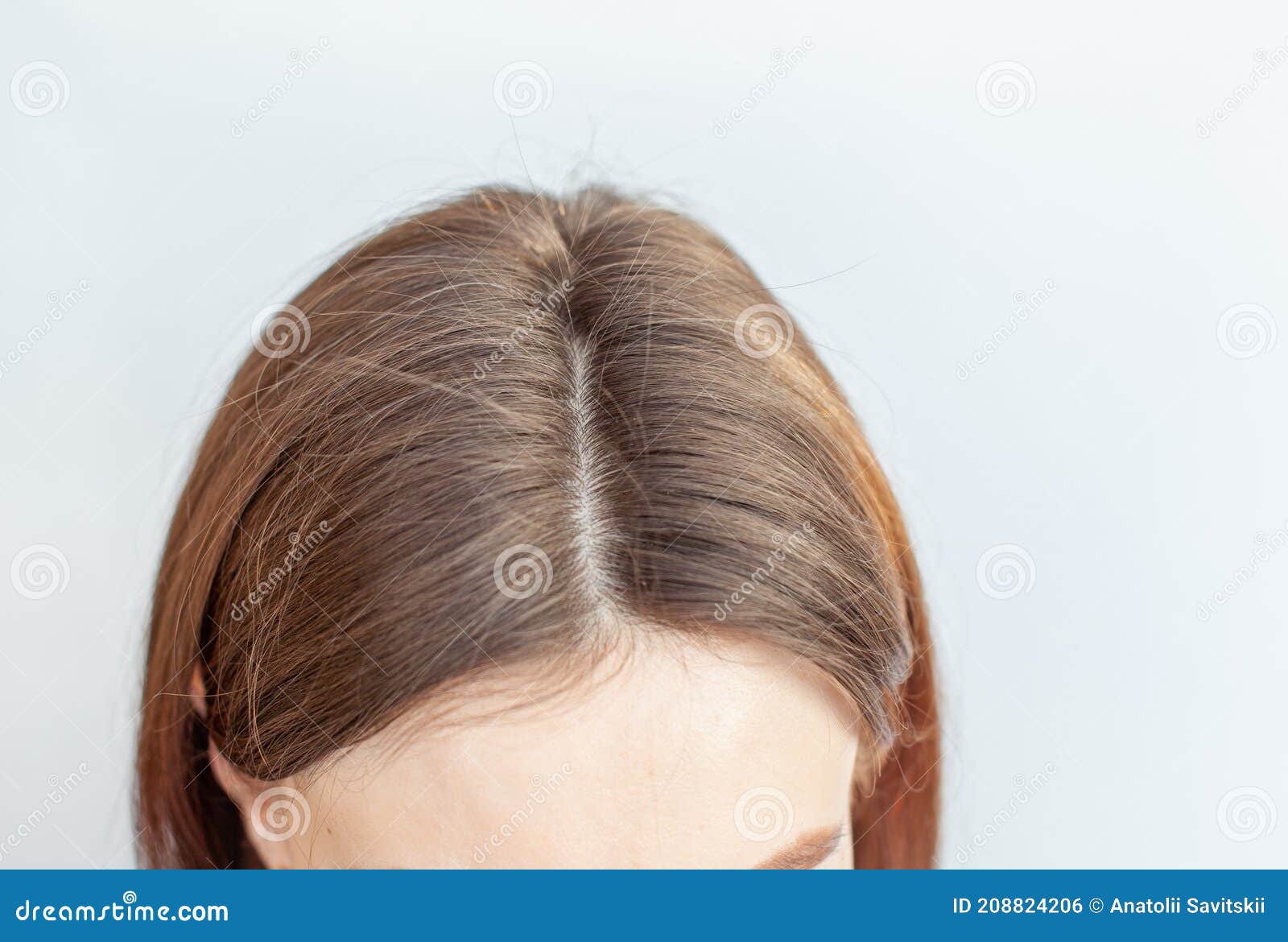 A Woman S Head with a Parting of Gray Hair Stock Photo - Image of grown, girl: 208824206 A Woman S Head with a Parting of Gray Hair Stock Photo - Image of grown, girl: 208824206