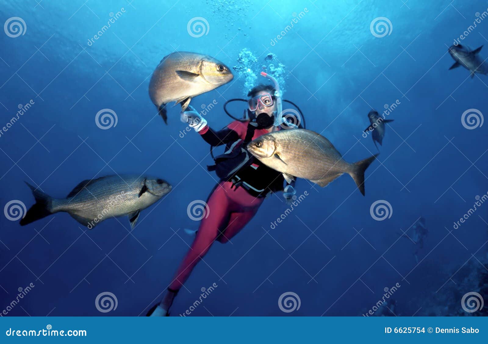 woman scuba diver in cozumel