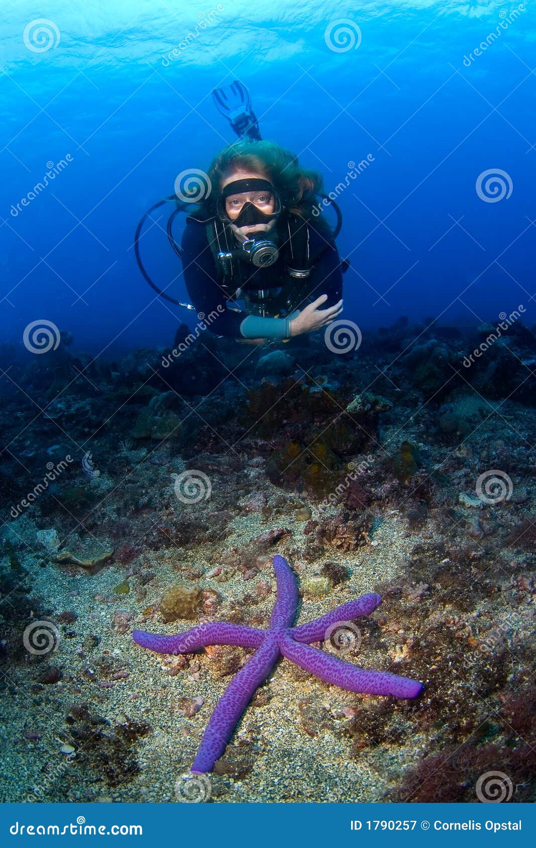 woman scuba-diver swimming over seastar