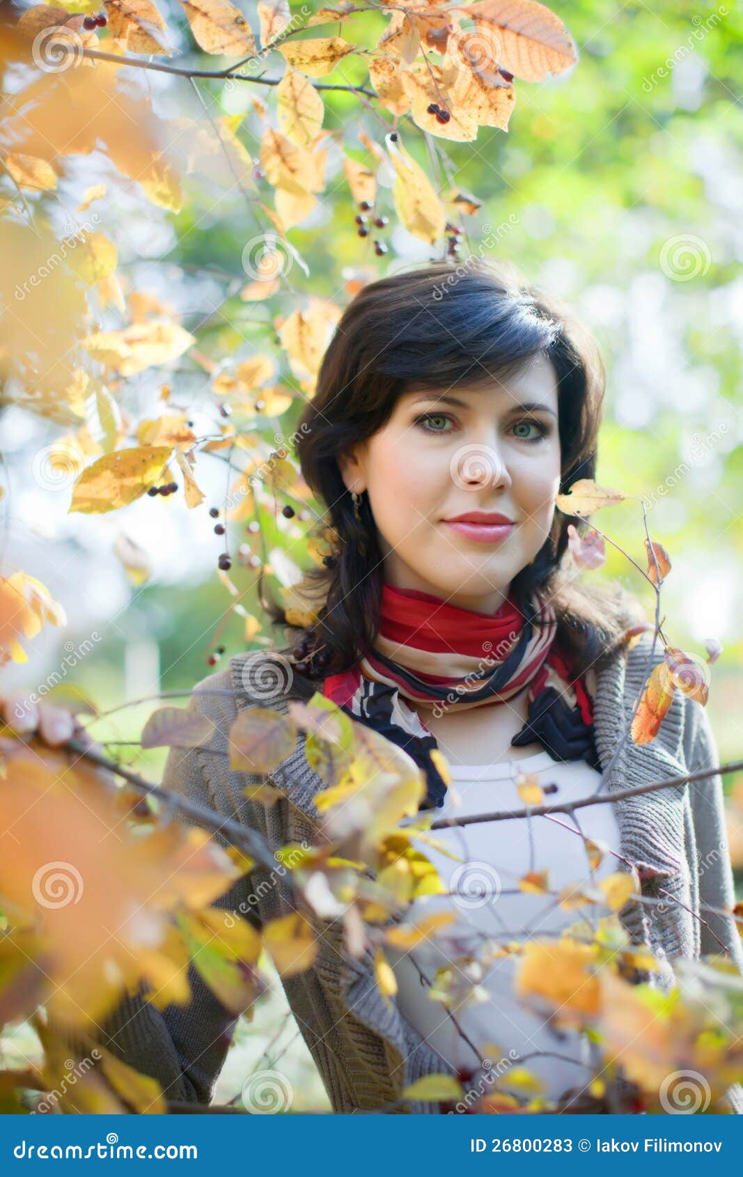 Woman in september park stock image. Image of fall, seasonal - 26800283