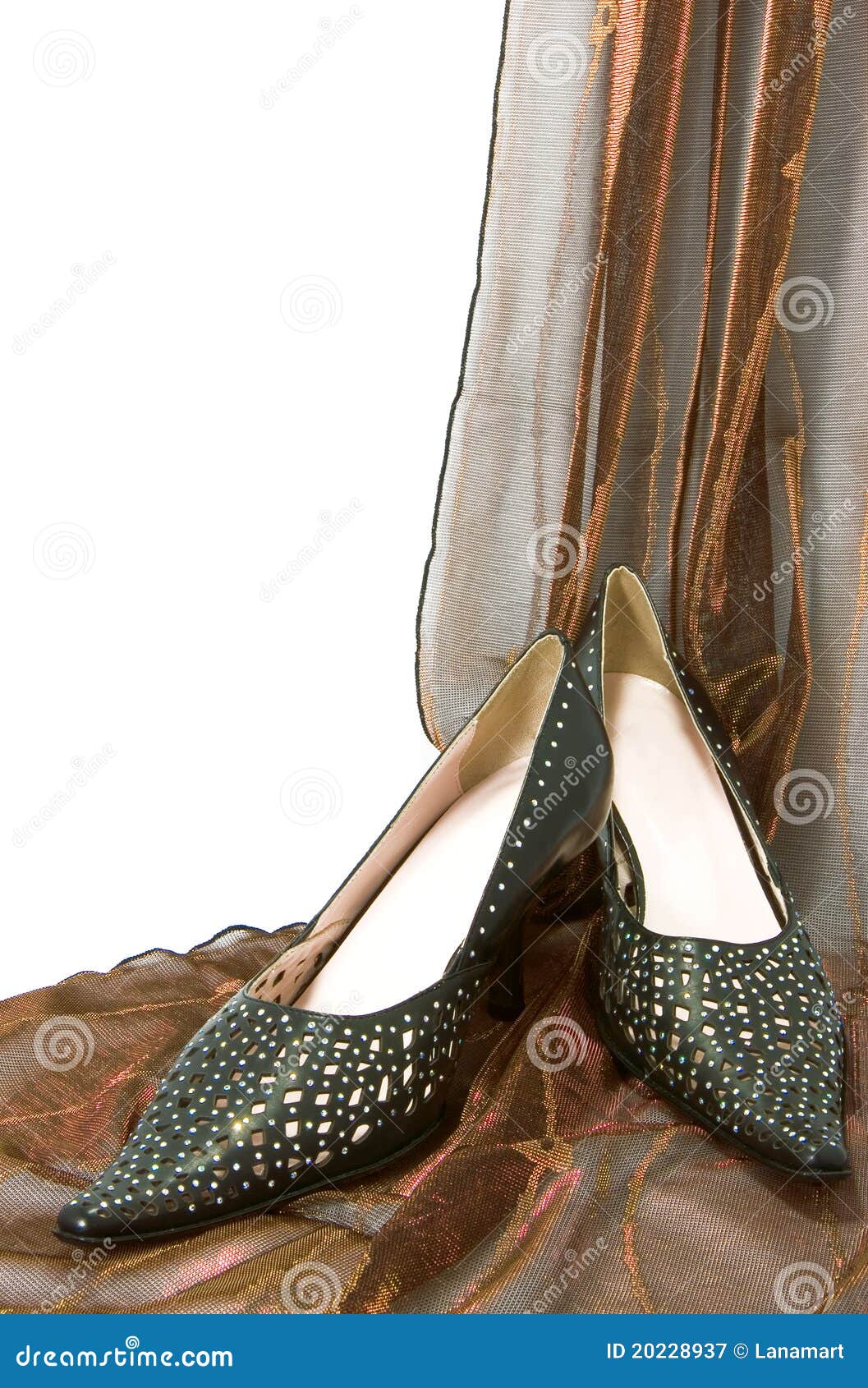 Woman shoe stock image. Image of stylish, high, reflection 20228937
