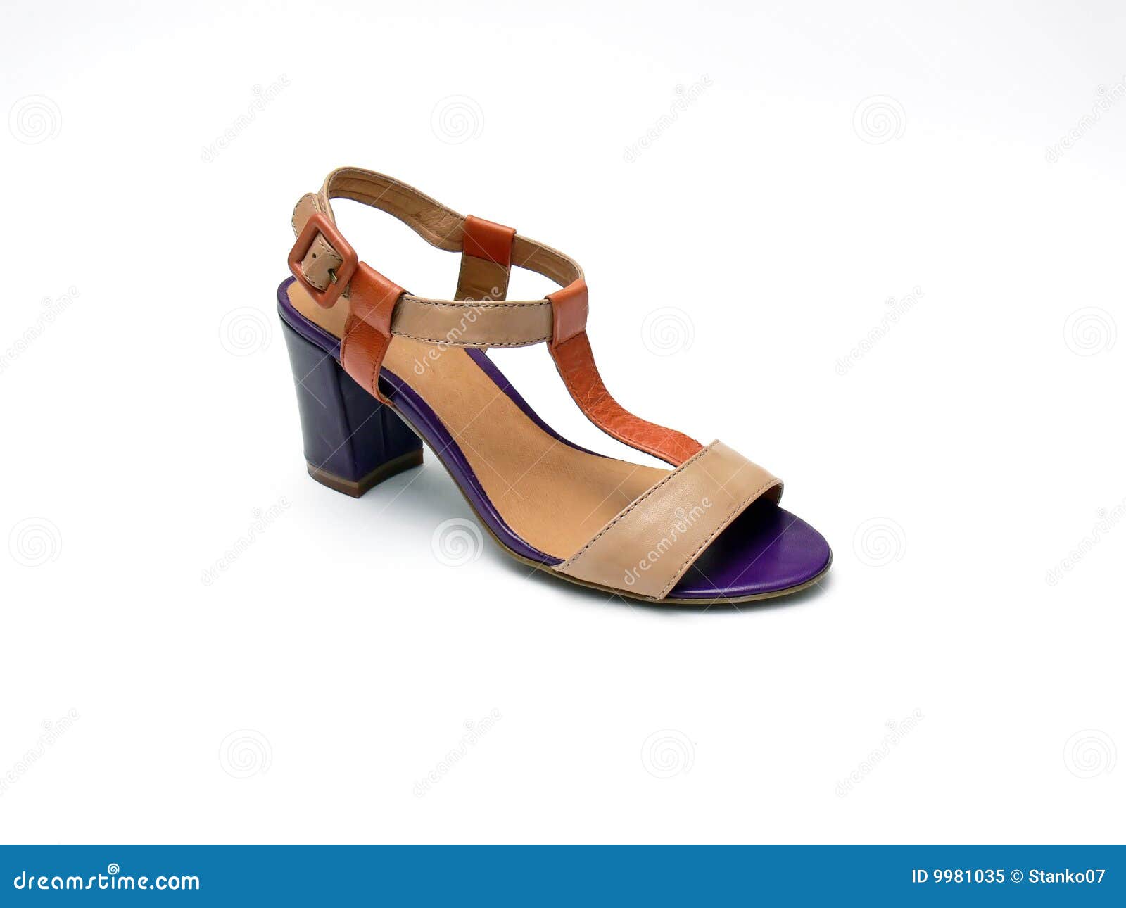 Woman shoe - sandal stock image. Image of classic, closeup - 9981035