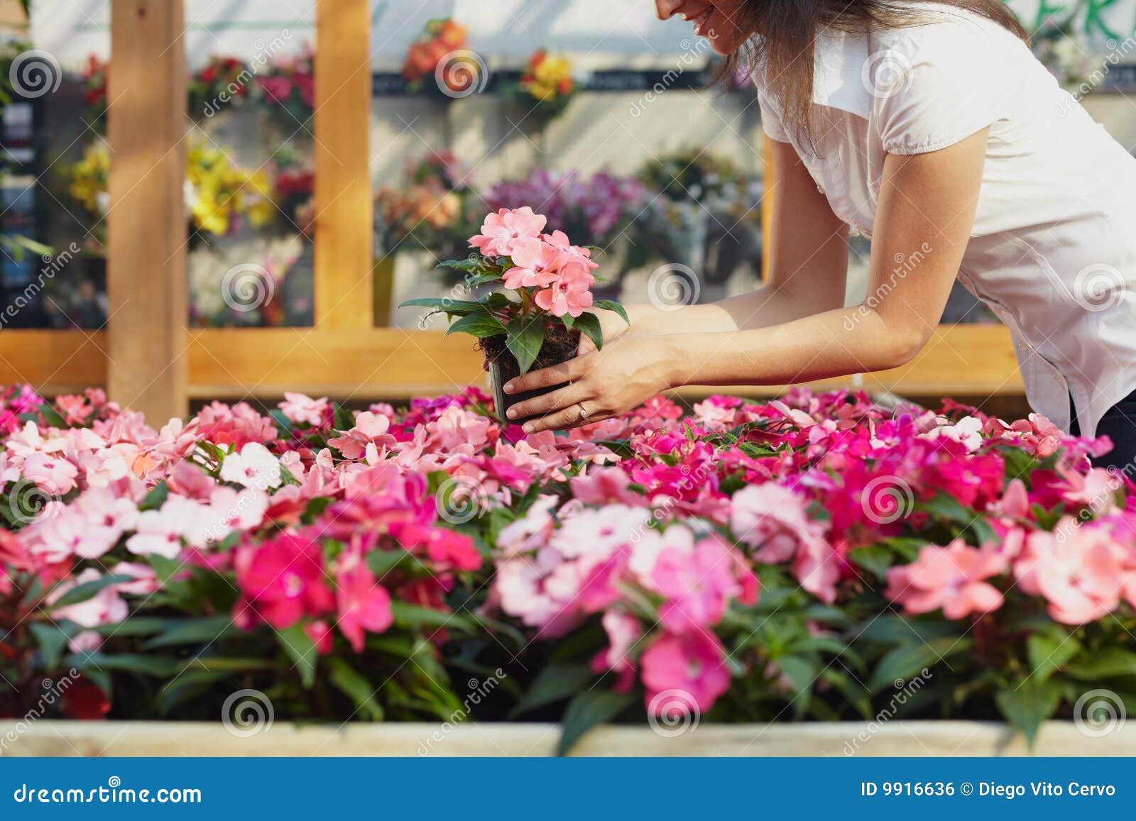 woman shopping in garden center