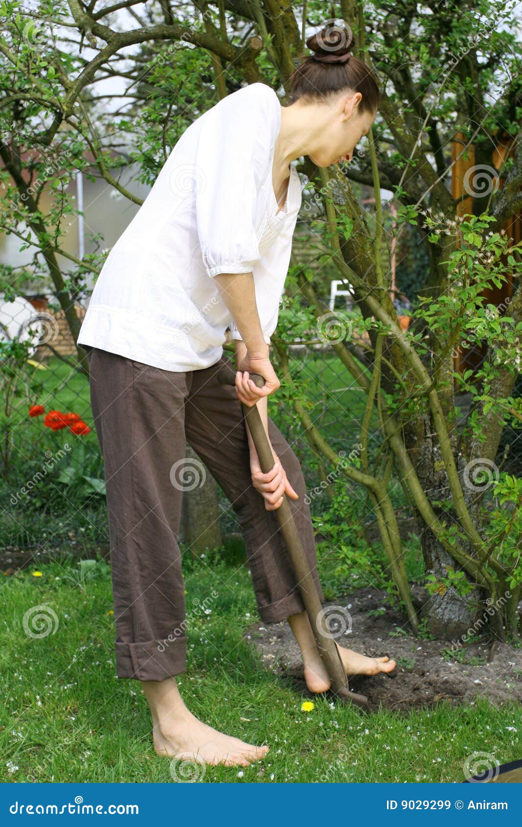 https://thumbs.dreamstime.com/z/woman-shovel-9029299.jpg