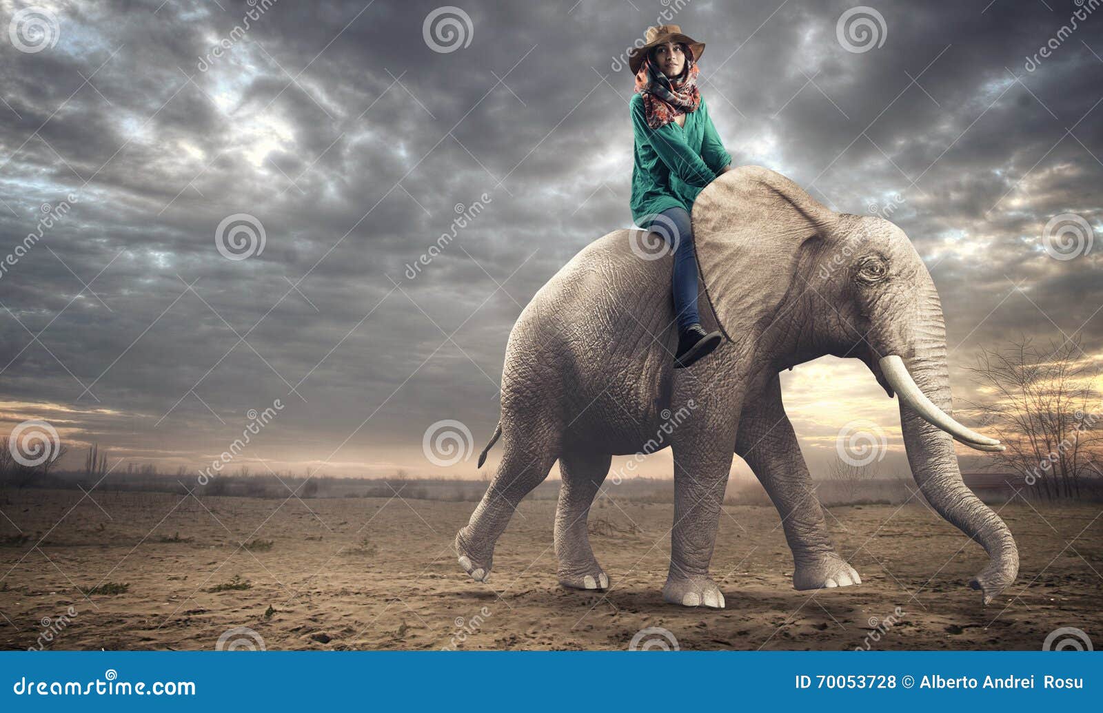 Woman Sitting on an Elephant Stock Photo Image of woman, girl 70053728
