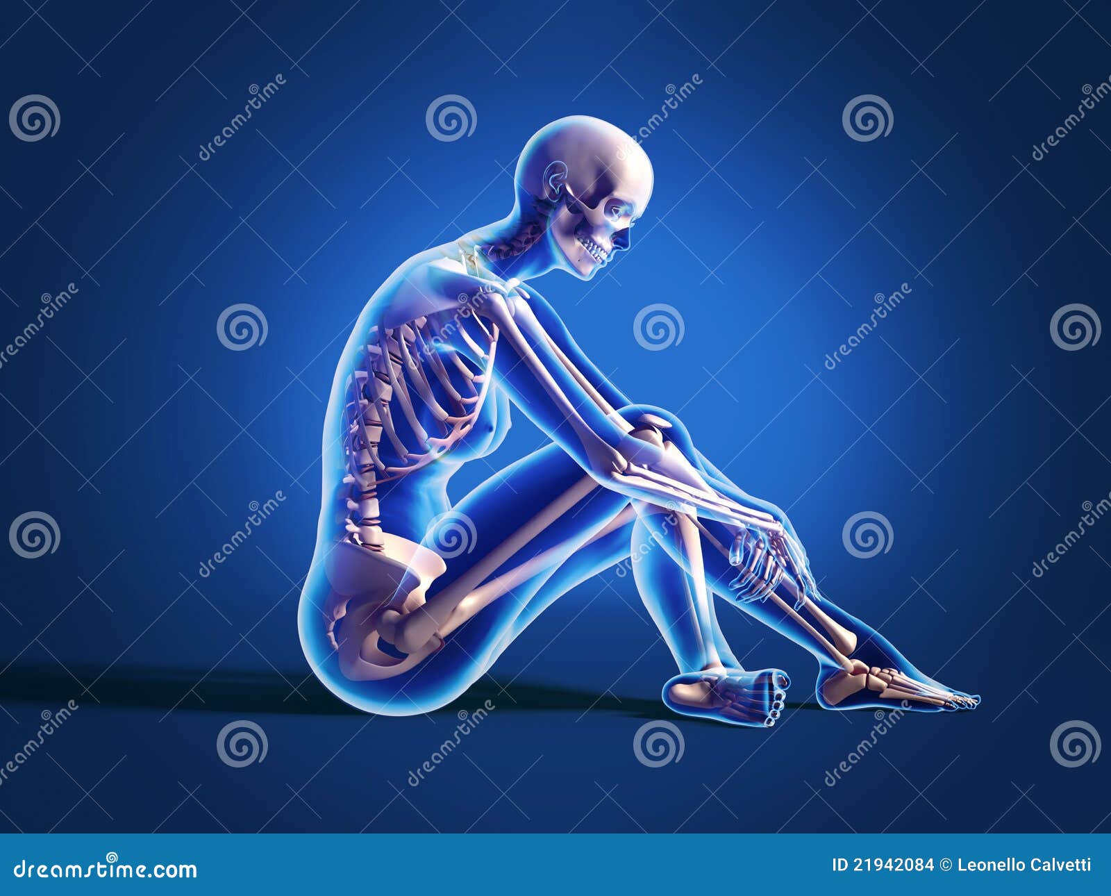 Anatomy, Naked Woman Body, With Bone Skeleton. Stock Image