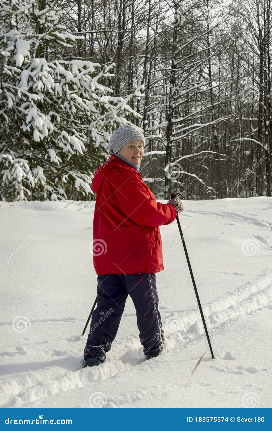 Woman Skiing on a Frosty Winter Day Stock Photo - Image of fresh, cold ...