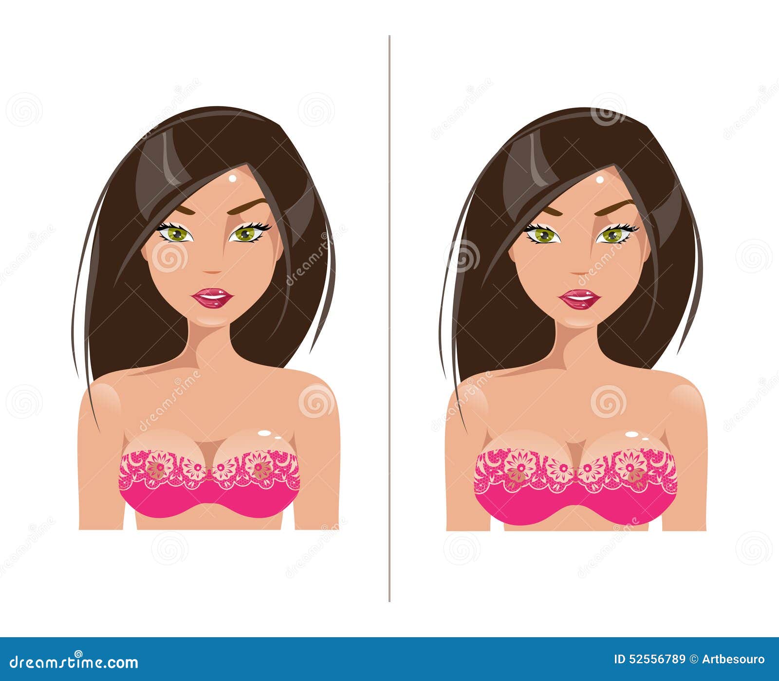 Woman with Small and Large Breast Size. Vector Illustration Stock