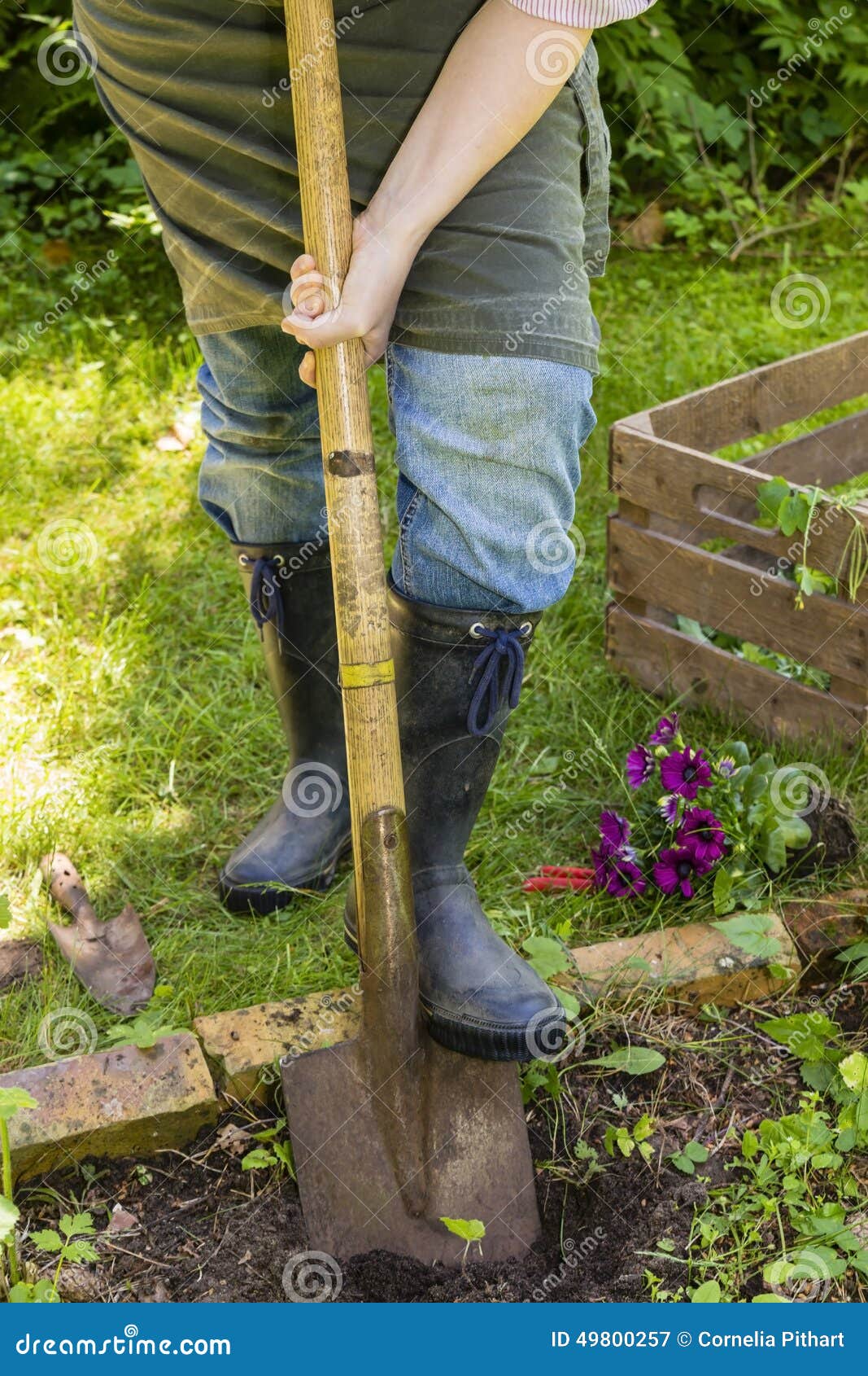 Woman with Spade in a Garden Stock Image Image of rubber, outdoors