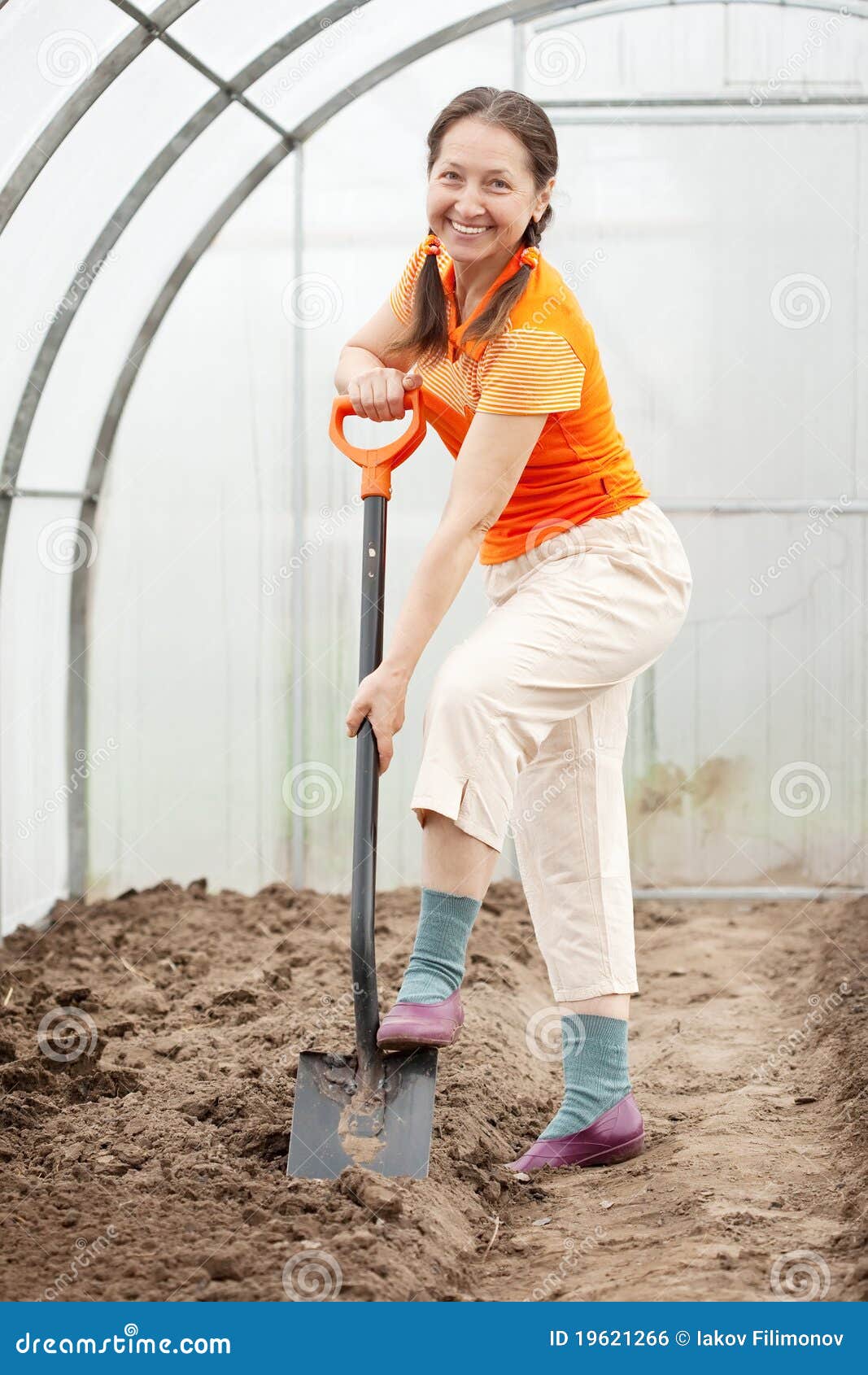 Woman with Spade in Greenhouse Stock Photo Image of agriculture