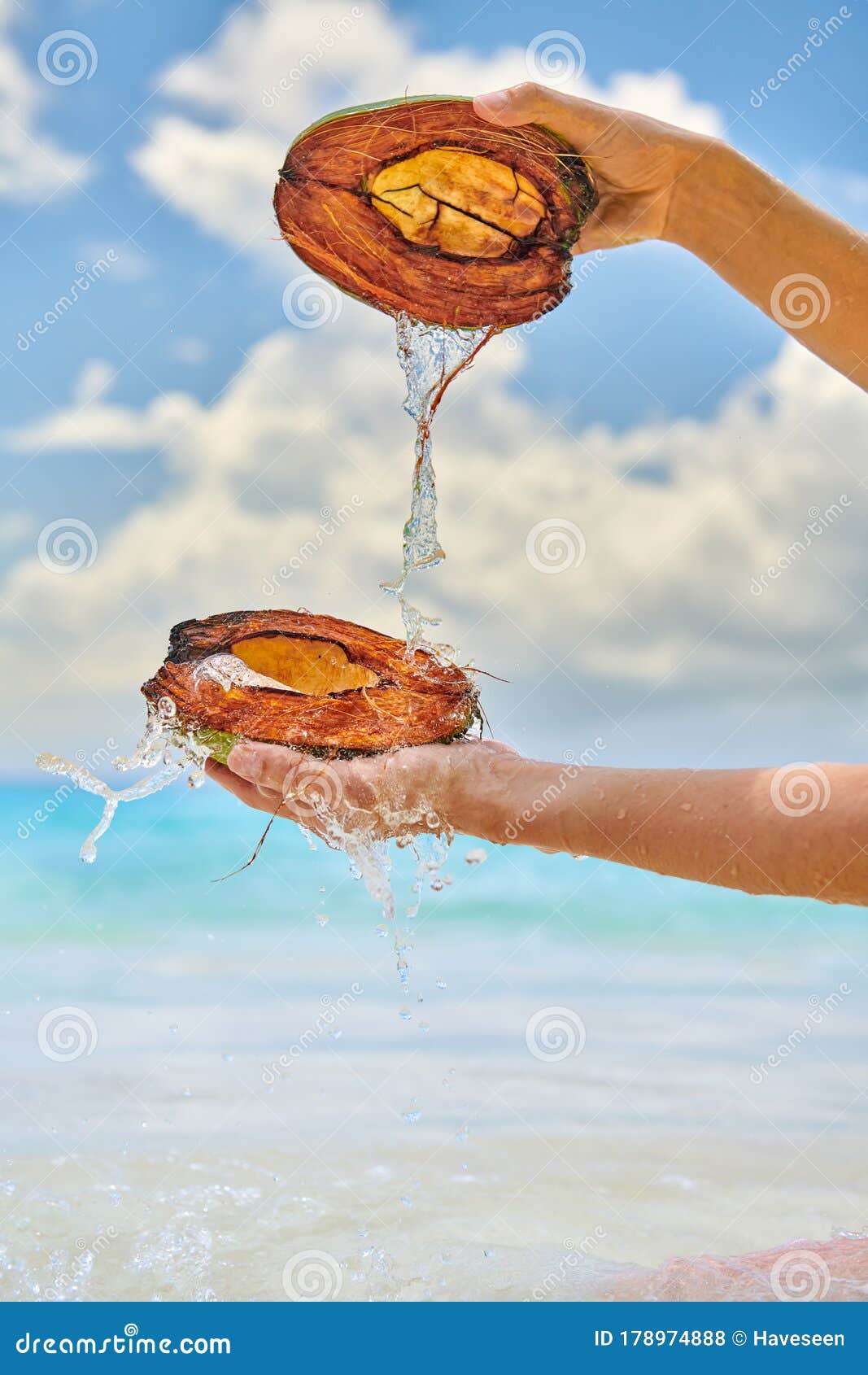 Woman Splashing Water with Coconut on Beach Stock Photo - Image of ...