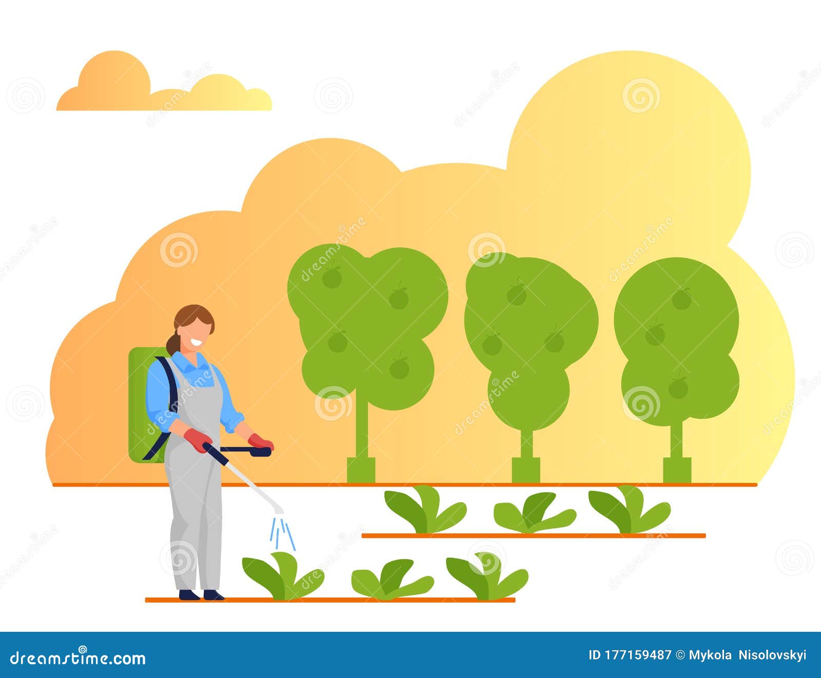 Woman Spraying Chemicals Fertilizers on Garden Bed Stock Vector ...