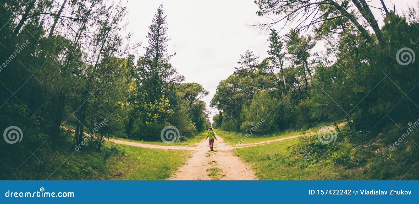 a woman stands at the crossroads of two forest roads