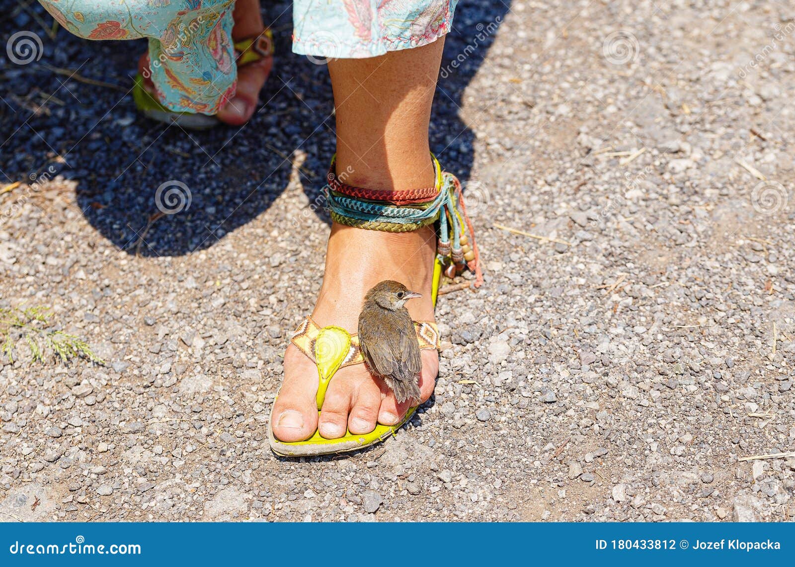 Woman Stands In Sandals On The Road And 