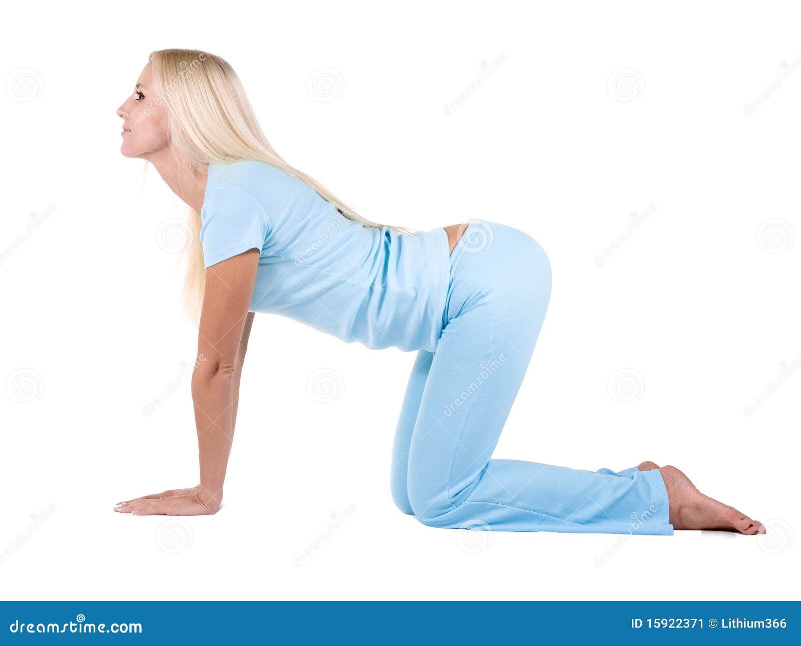 cat position cat position